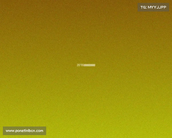 2016年女排赛程与结果